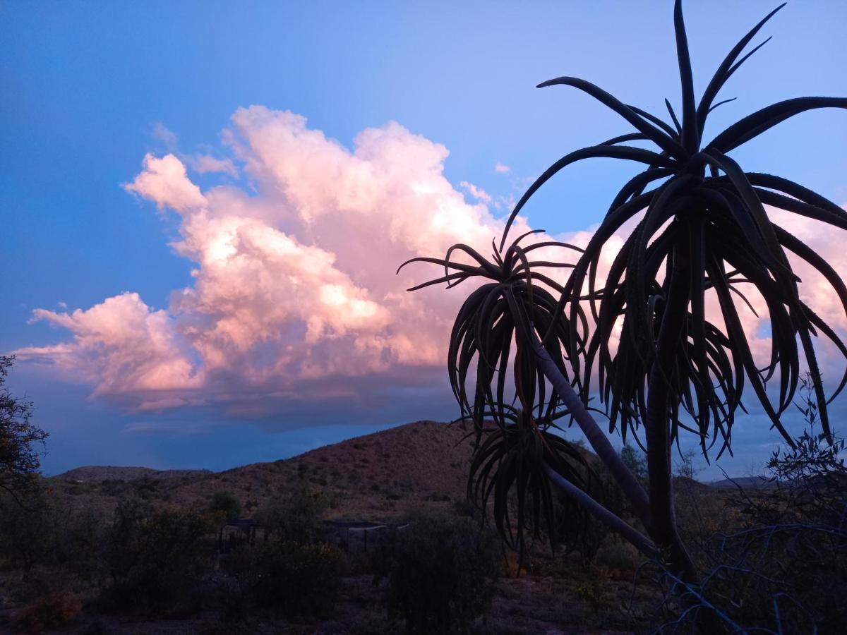 Wolverfontein Karoo Cottages Ladismith Εξωτερικό φωτογραφία