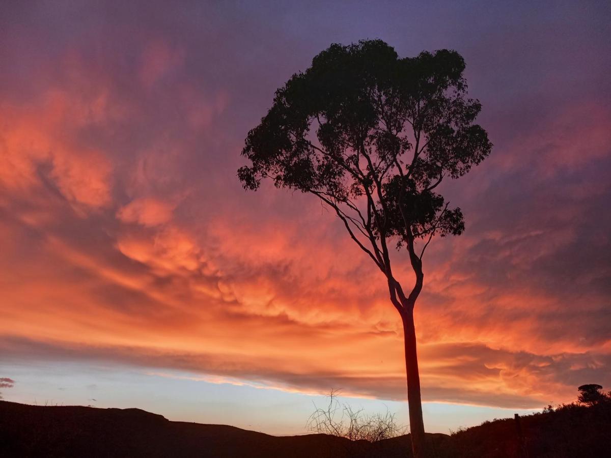 Wolverfontein Karoo Cottages Ladismith Εξωτερικό φωτογραφία