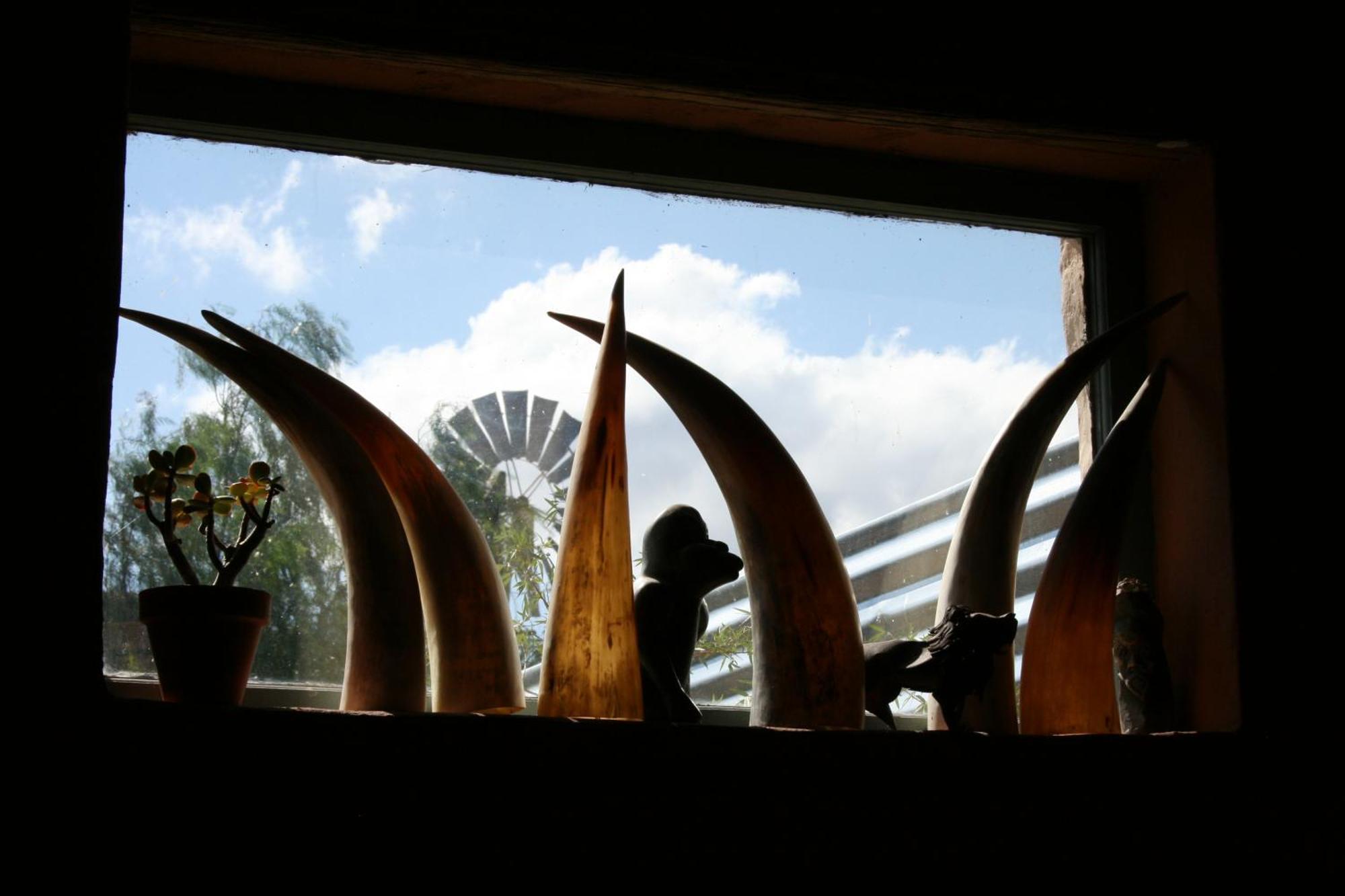 Wolverfontein Karoo Cottages Ladismith Εξωτερικό φωτογραφία