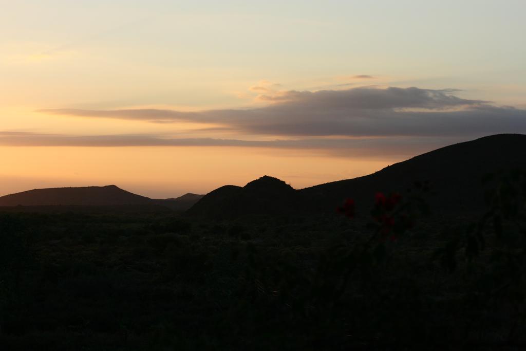 Wolverfontein Karoo Cottages Ladismith Εξωτερικό φωτογραφία
